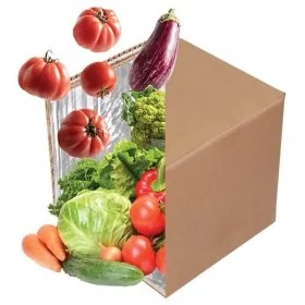 Cutie Termoizolanta Fresh Pack Kit-Ambalaje Termoizolante Cu Temperatura Controlata