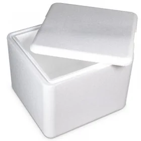 Cutii Termoizolante EPS Pentru Transport-Ambalaje Termoizolante