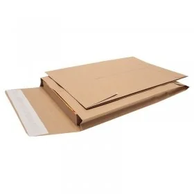 Plic Cu Burduf-Plicuri Si Pungi Curierat