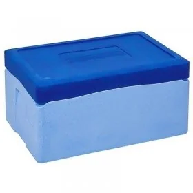 Cutii Termoizolante EPP Fara Insert, 40/55 L-Ambalaje Termoizolante