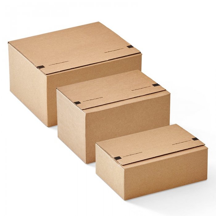 Cutie Din Carton Cu Folie De Retentie ColomPac®, 230 x 160 x 80 mm-Pachete PROMO