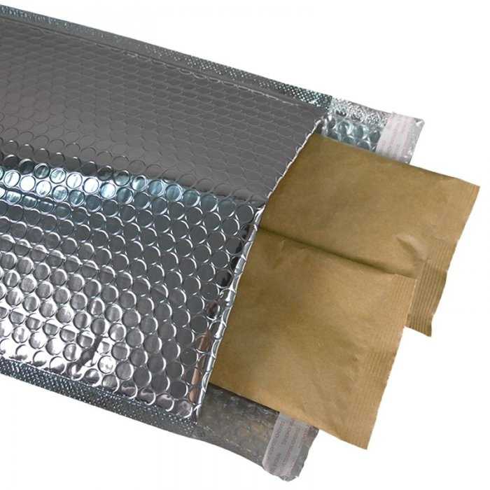 Plic Termoizolant Cu Bule Secure Pharma-Ambalaje Termoizolante Cu Temperatura Controlata